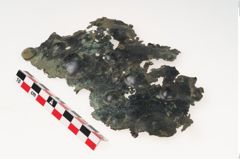 Foto von Bronzegürtelblech (NHMW-PRAE-001392)